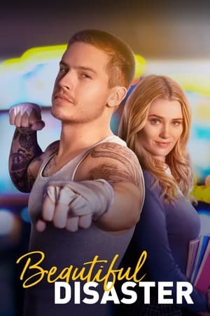 Beautiful Disaster 2023 Hindi Dual Audio – HD Poster Download - Filmyzilla