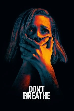 Don’t Breathe 2016 Hindi Dual Audio HD Poster Download - Filmyzilla