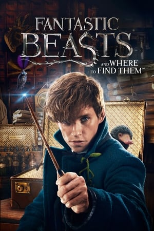Fantastic Beasts and Where to Find Them 2016 HC [] 400MB HD Poster Download - Filmyzilla