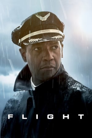 Flight (2012) Hindi Dual Audio [1GB] HD Poster Download - Filmyzilla