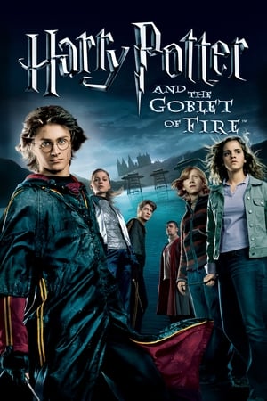 Harry Potter and the Goblet of Fire 2005 Hindi Dual Audio HD Poster Download - Filmyzilla