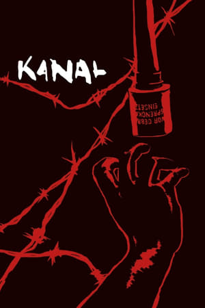 Kanal 2015 Hindi Dual Audio 450MB HD Poster Download - Filmyzilla