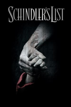 Schindler’s List (1993) Hindi Dual Audio 600MB HD Poster Download - Filmyzilla